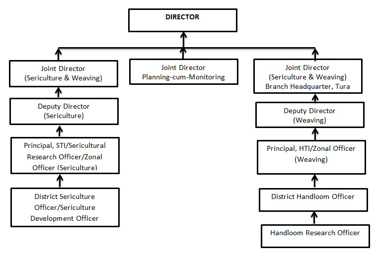 Organisational Chart