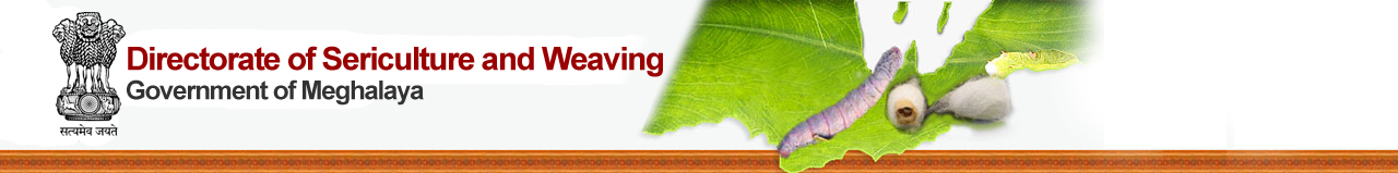 Directorate of Sericulture and Weaving banner